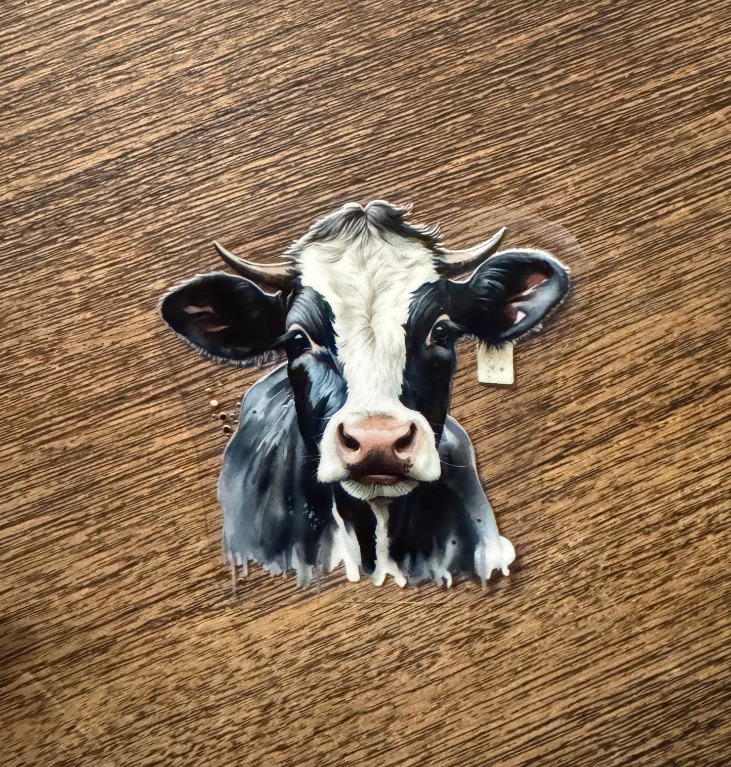 UV DTF Cow Decals